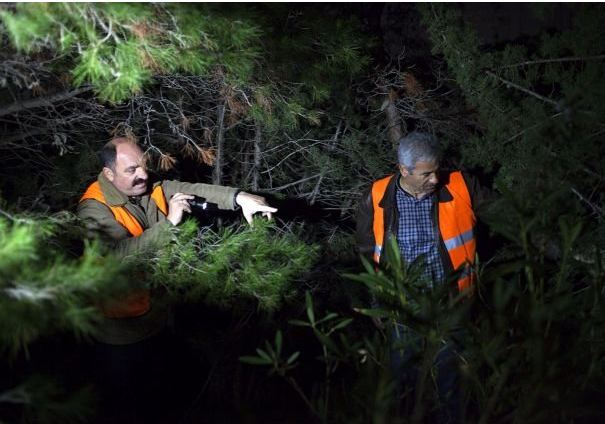 Κυνηγούν υλοτόμους στο όρος Αιγάλεω