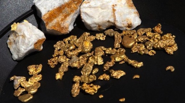 Βακτήριο κάνει το νερό… χρυσό