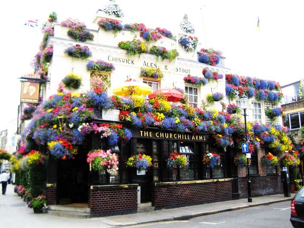 Το ανθισμένο καφέ του Λονδίνου