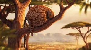 To «βρώμικο» φαγητό στη ζούγκλα