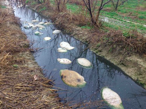 Απαράδεκτες εικόνες στην Ημαθία