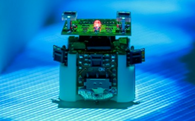 ΒΙΝΤΕΟ:Ρομπότ μιμούνται τη συμπεριφορά μυρμηγκιών