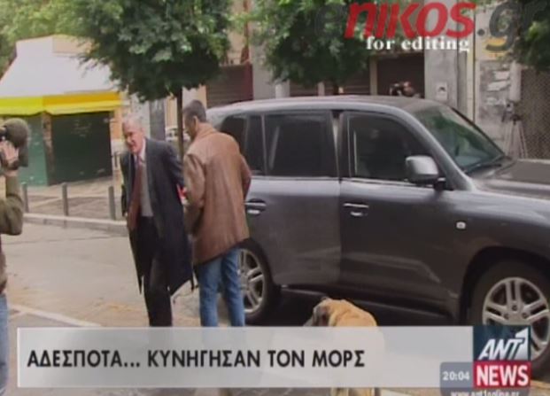 ΒΙΝΤΕΟ-Αδέσποτα… κυνήγησαν τον Μορς