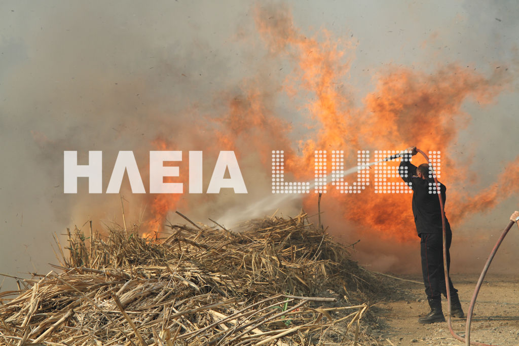 ΤΩΡΑ-Φωτιά σε δασική έκταση στην Ηλεία