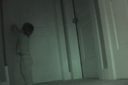 ΒΙΝΤΕΟ-Δεν πίστευαν στα μάτια τους!