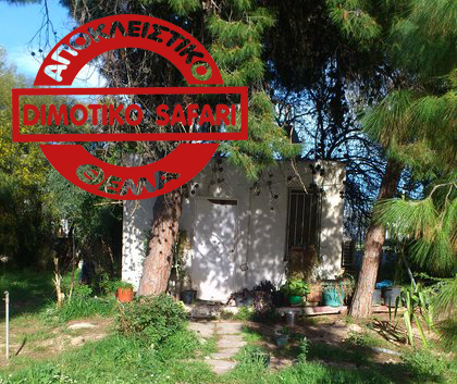 Αγ. Κοσμάς:Παρενοχλούσε τις αθλήτριες