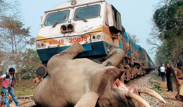 Τον πάτησε το τρένο