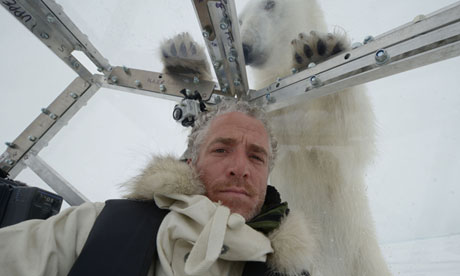 Πρόστιμο για… παρενόχληση πολικής αρκούδας