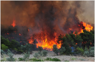ΤΩΡΑ-Πυρκαγιά στην Ολυμπία