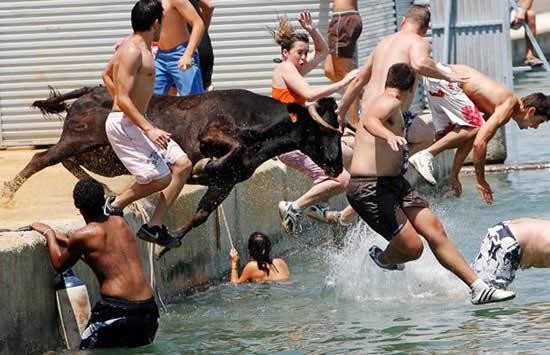 ΒΙΝΤΕΟ-Τους ρίχνουν στη θάλασσα οι ταύροι!