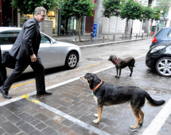 Τη “γλίτωσε” το σκυλάκι που γάβγισε την τρόικα