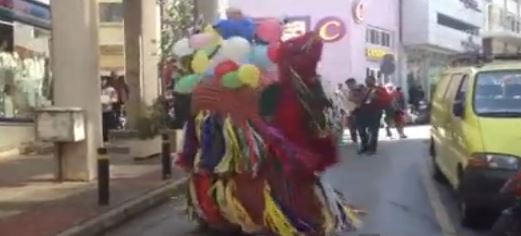 BINTEO-H …καμήλα και η παρέα της!