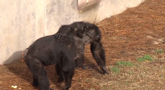 Είδαν ουρανό… για πρώτη φορά