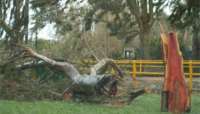 Τζουμέρκα:Zημιές από την κακοκαιρία