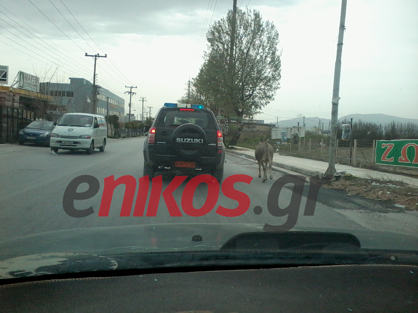 ΦΩΤΟ-«Συνέλαβαν» γάιδαρο στην Αθήνα