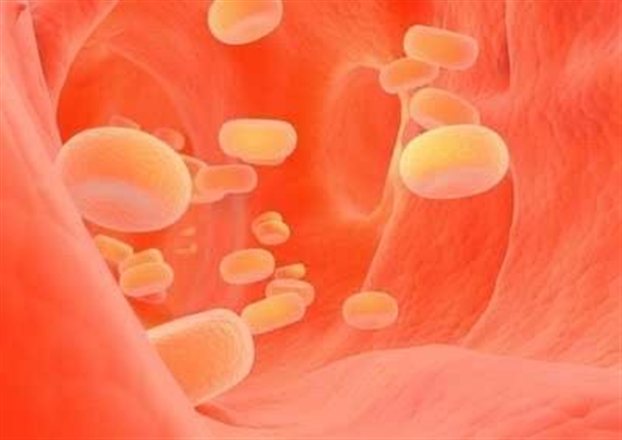 Η γήρανση αιτία της αθηροσκλήρωσης;