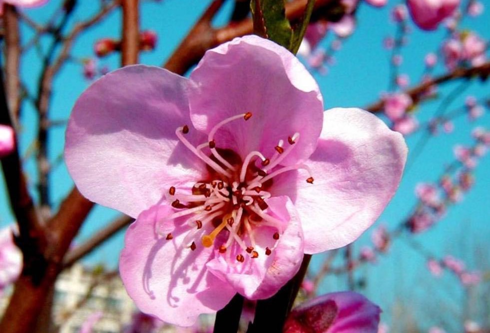 Η άνοιξη κάνει πρεμιέρα