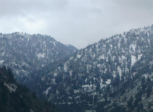 Κύμη: Το πέταγμα του χαρταετού έγινε στα χιόνια