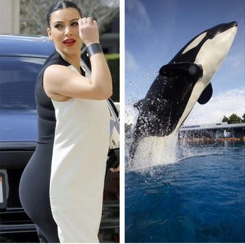 Η Κιμ και η …φάλαινα