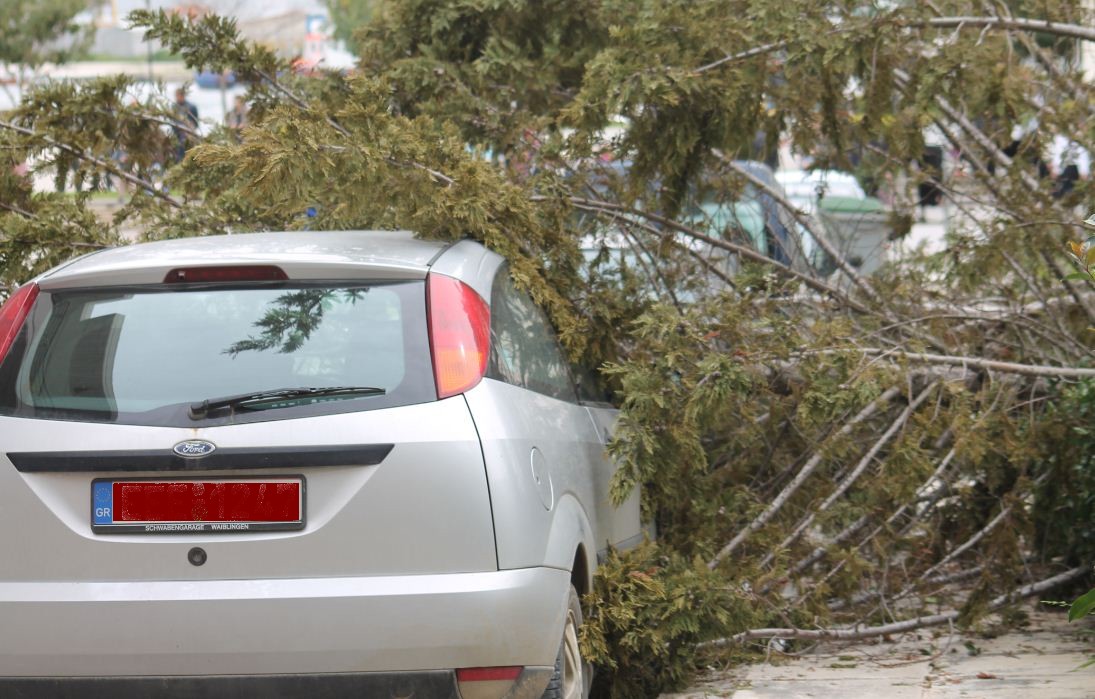 ΦΩΤΟ-Πρέβεζα: Πτώση δέντρου σε αυτοκίνητο