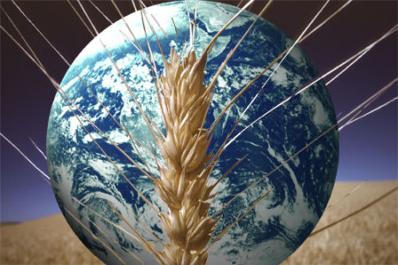 «Έπεσαν» οι παγκόσμιες τιμές τροφίμων