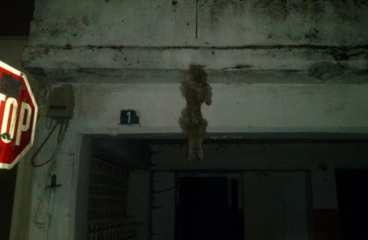 Σοκ: Κρέμασε σκύλο από μπαλκόνι