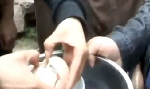 Δείτε τι βγήκε από το αυγό!