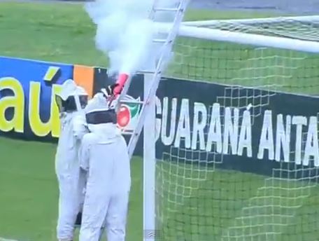 ΒΙΝΤΕΟ-Το μελίσσι στα γκολποστ