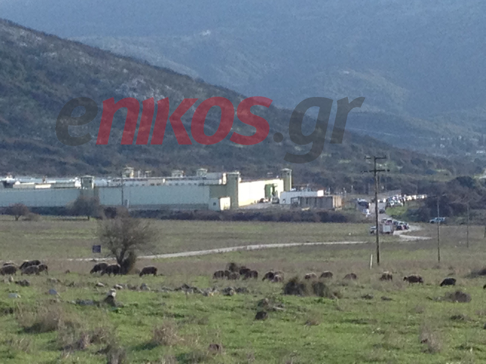 ΦΩΤΟΡΕΠΟΡΤΑΖ του enikos.gr από τις φυλακές Μαλανδρίνου