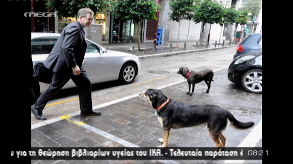 Tρόικα: Μαζέψτε τα σκυλιά