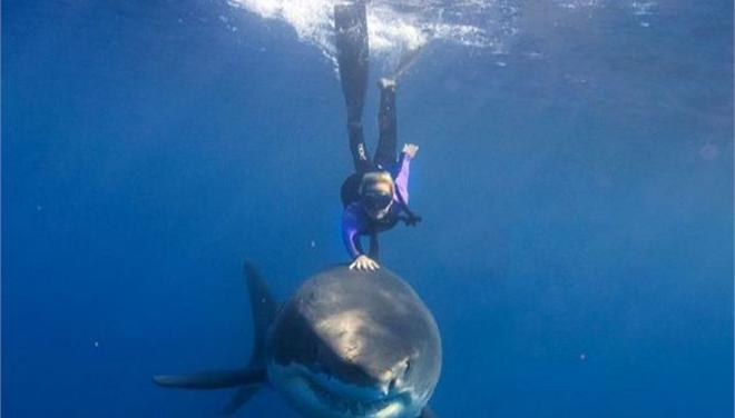 Καβάλα στον… καρχαρία