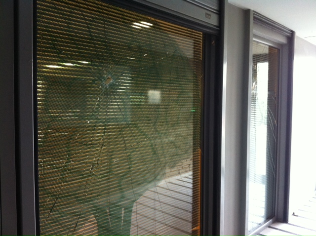 ΦΩΤΟ-Έσπασαν με βαριοπούλες τη τζαμαρία τράπεζας