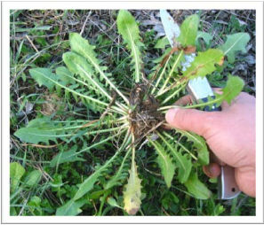 Οικογενειακή τραγωδία στον Έβρο