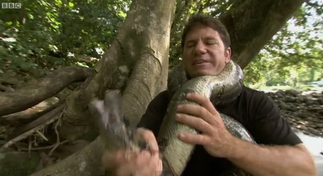 ΒΙΝΤΕΟ-Ο δημοσιογράφος που “έπαιξε” με τον βόα