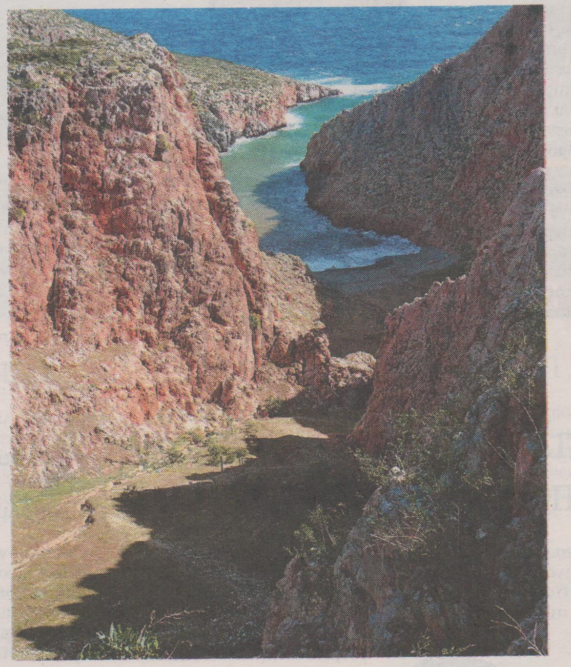 H χωματερή που… ανθίζει