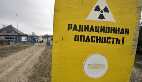 Το καταφύγιο ζώων στο Τσερνόμπιλ