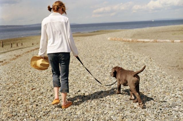 Πρόστιμα για τα κατοικίδια