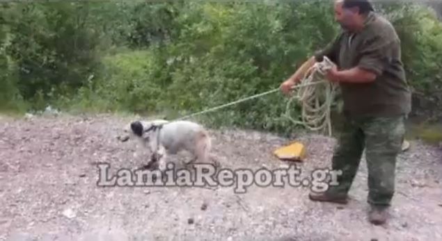 ΒΙΝΤΕΟ-Ο τετράποδος σύντροφος που συγκίνησε τους αστυνομικούς