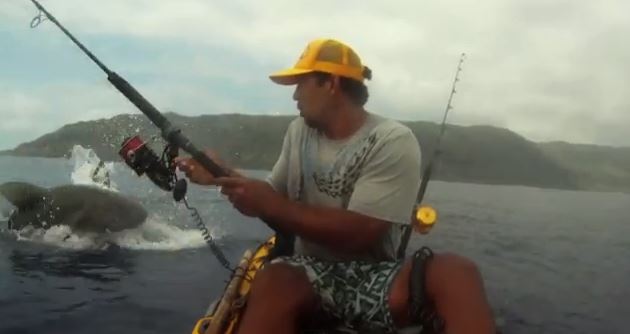 ΒΙΝΤΕΟ:Καρχαρίας του έφαγε το ψάρι