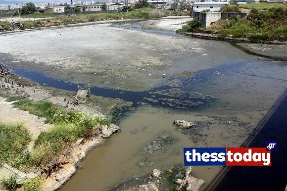 ΒΙΝΤΕΟ – Εικόνες ντροπής στην Θεσσαλονίκη
