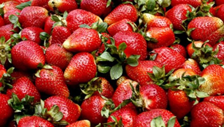 Οι φράουλες μένουν στα ψυγεία