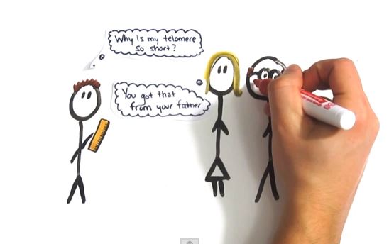 ΒΙΝΤΕΟ-Γιατί γερνάμε και πεθαίνουμε