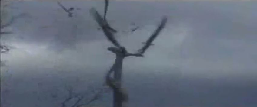 ΒΙΝΤΕΟ:Άνεμος κατέστρεψε ανεμογεννήτρια