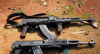 Όπλα και διόπτρες κατασχέθηκαν στον Έβρο