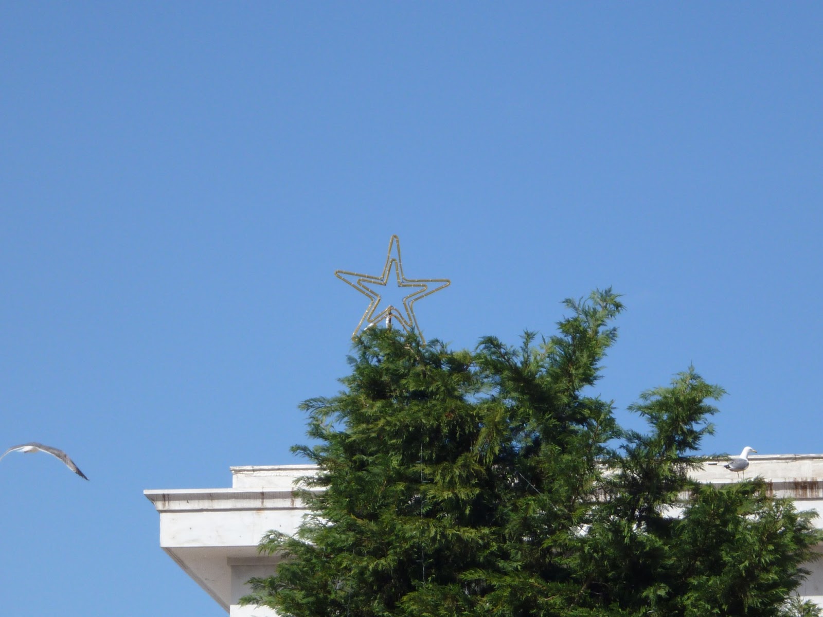 Στην Ξάνθη έχει ακόμα… Χριστούγεννα