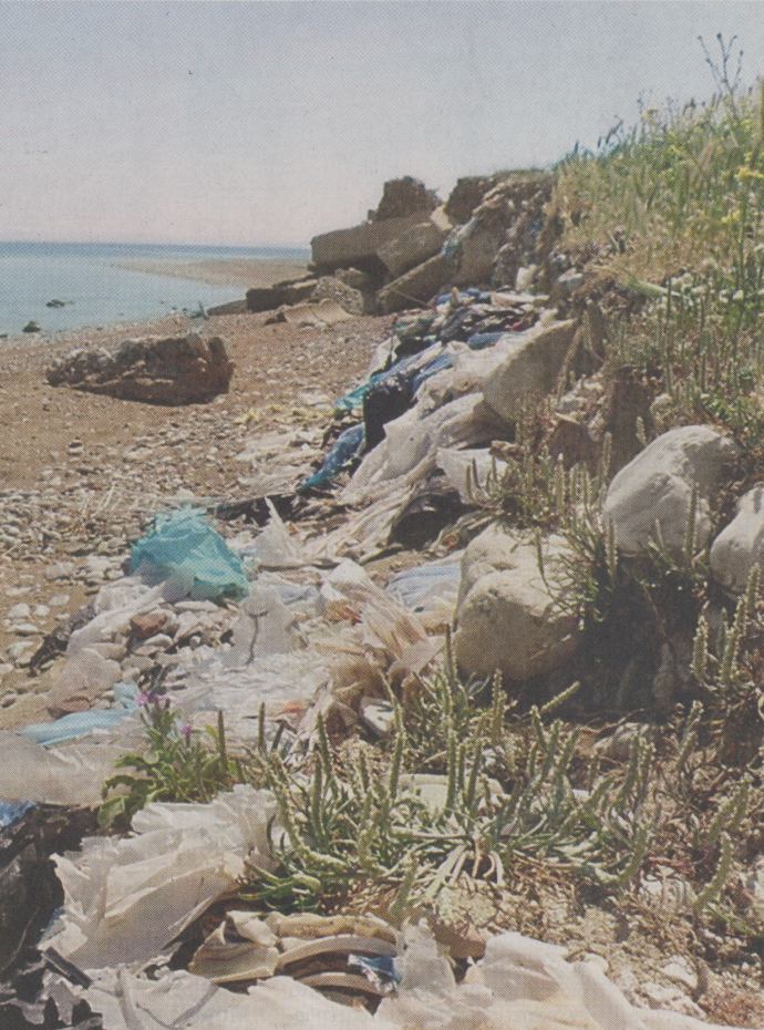 Περιβαλλοντικό έγκλημα