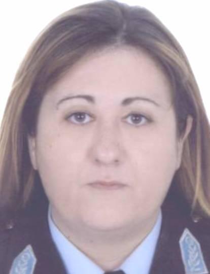 Έπεσε εν υπηρεσία