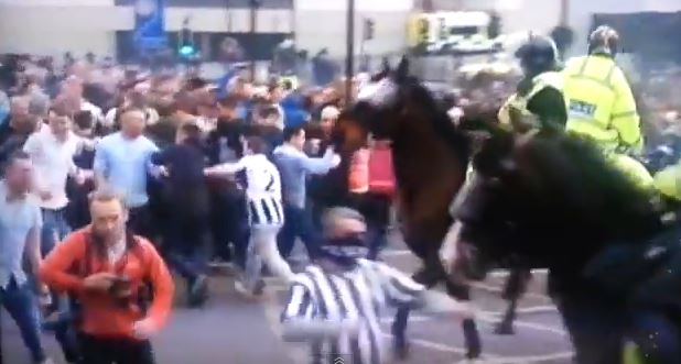 BINTEO-Χούλιγκαν ρίχνει μπουνιά σε άλογο