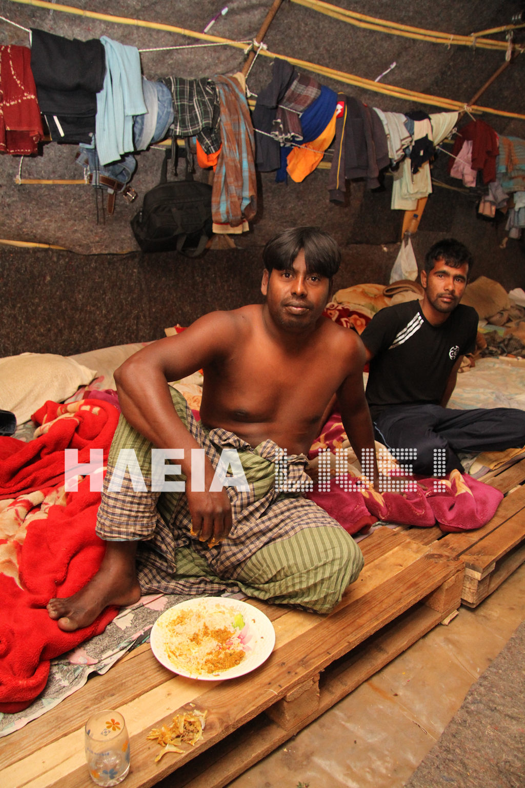 Βίντεο και φωτογραφίες από τα φραουλοχώραφα
