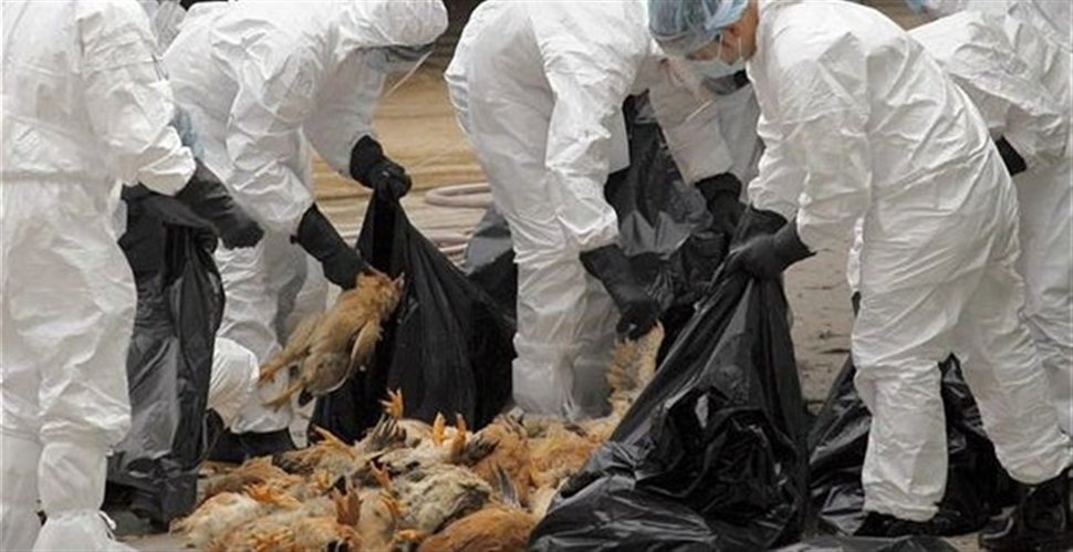 16 οι νεκροί στην Κίνα από τον ιό